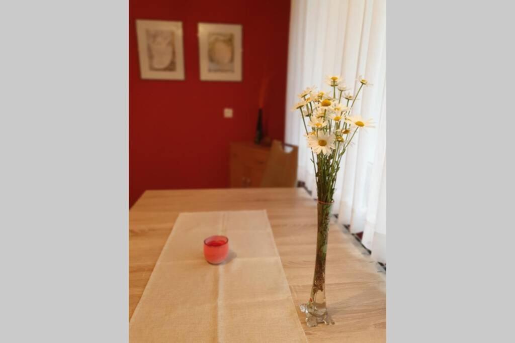 מויסטראנה Apartma Kreda מראה חיצוני תמונה